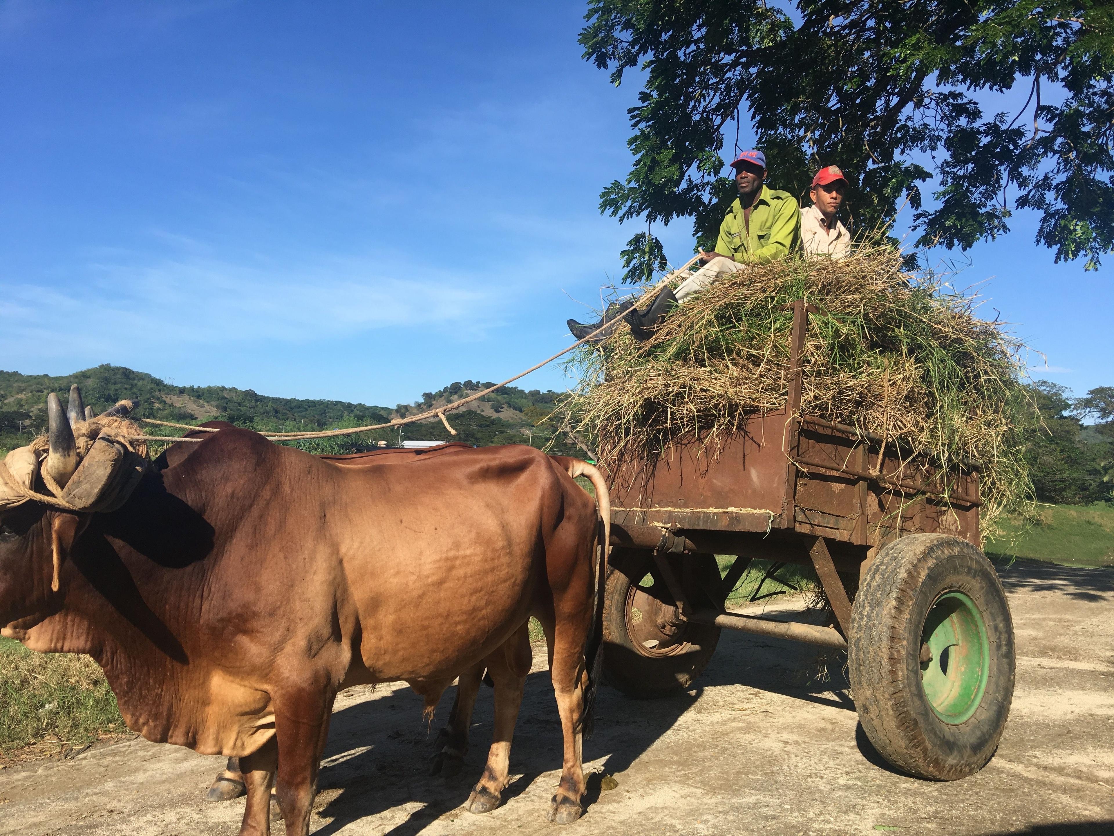 Visita de representantes del proyecto MAS