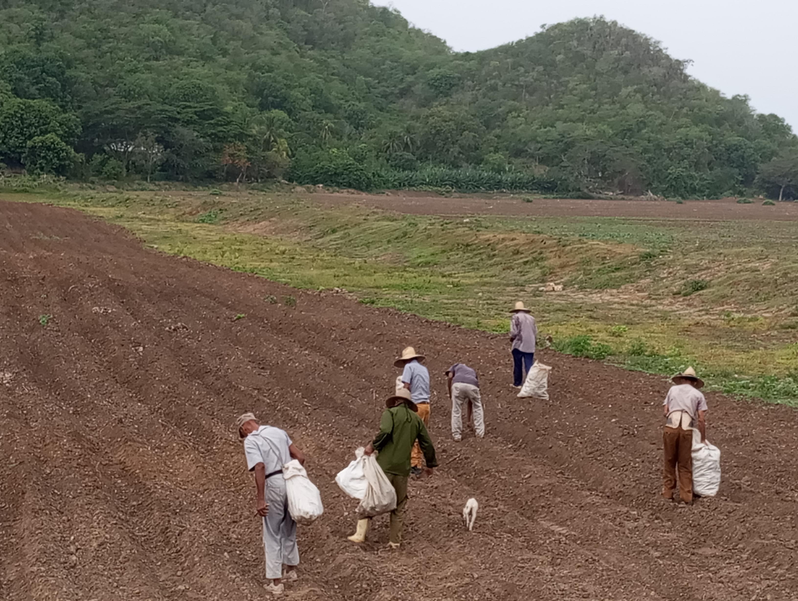 fortaleza 2 siembra 3